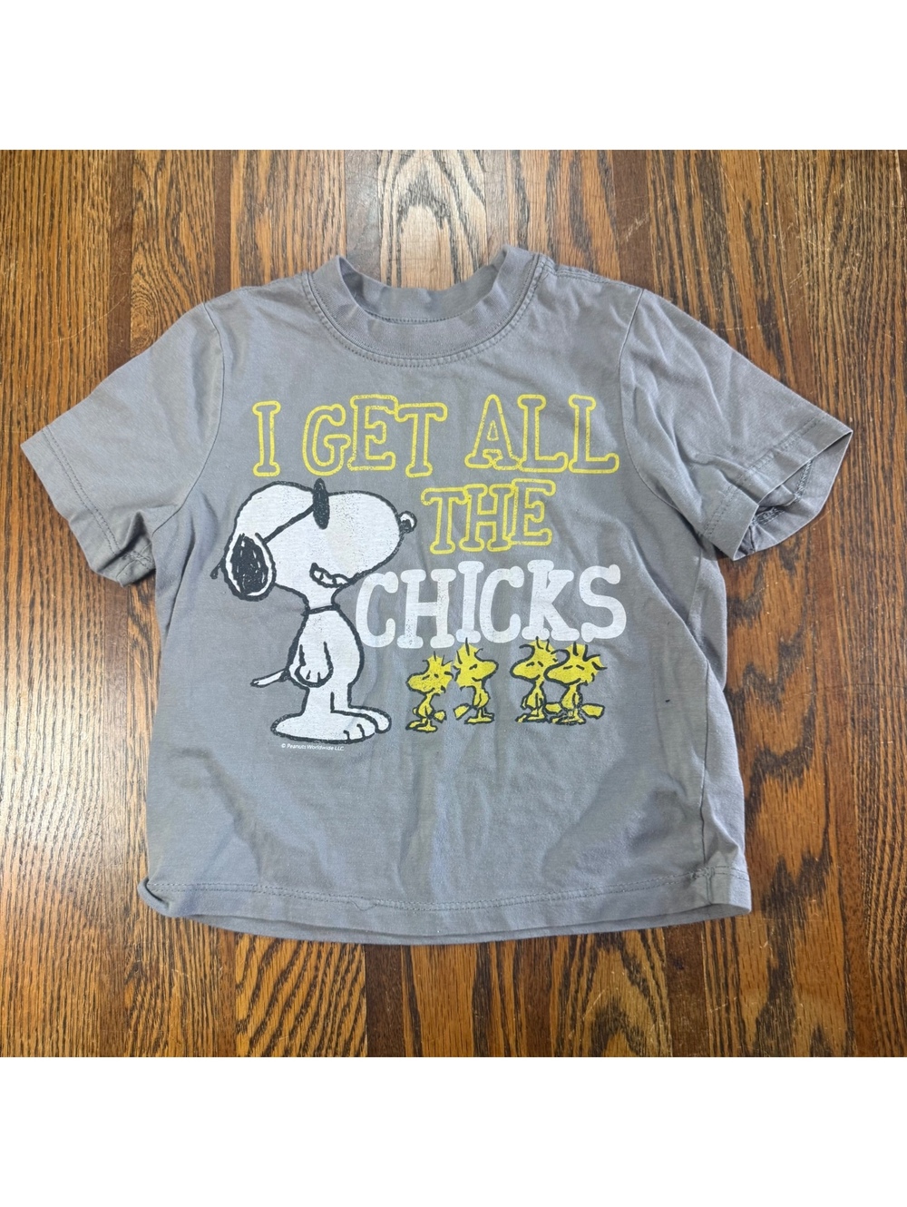 Peanuts Snoopy Joe Cool Toddler 3T T-Shirt Gray I Get All The Chicks Tee